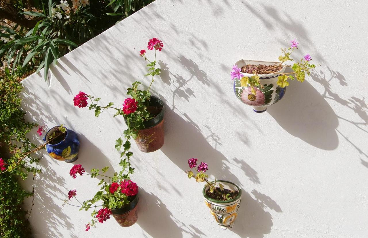 Casa Estrella De Salia Bed & Breakfast อัลเกาซิน ภายนอก รูปภาพ